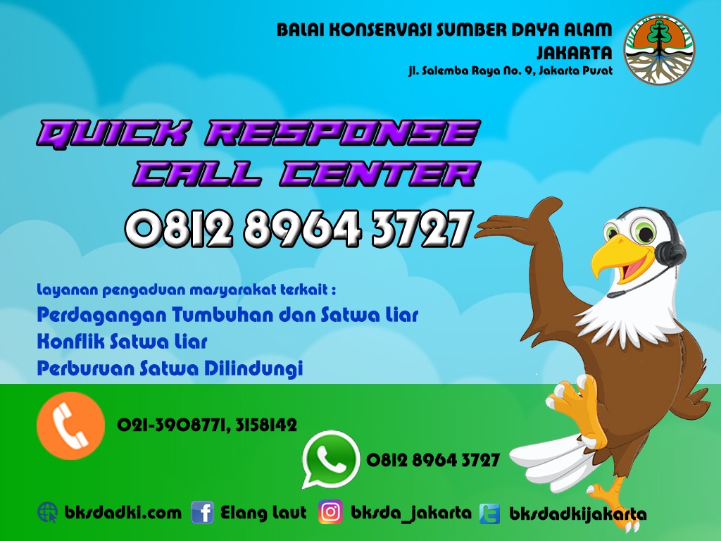 Call Center
